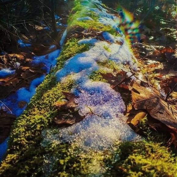 Meet your Posher, Natalie - Picture 2 of 2